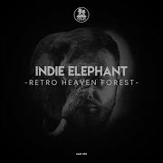 Indie Elephant