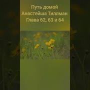 Путь Дамой Анастейша