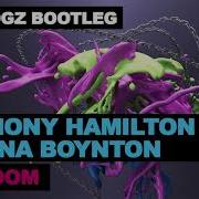 Anthony Hamilton Elayna Boynton Freedom Dubdogz Bootleg