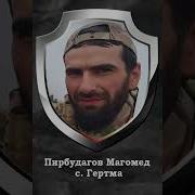 Руслан Имамирзаев Памяти Погибшим На Сво