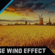 Unreal Engine 5 Quixel Foliage Wind Effect Cg Dealers
