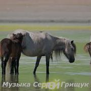 Музыка Сергей Грищук Без Границ
