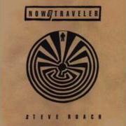 Traveler Steve Roach