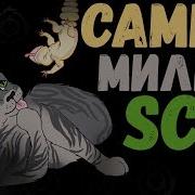 Самые Милые Scp 2