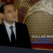 Oybek Hamroqulov Gullar Mohi Mp3