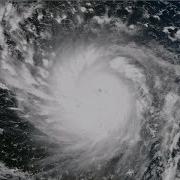 Flock Together Tropical Storms