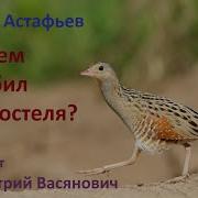 Зачем Я Убил Коростеля