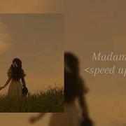 Мадам Jony Andro Speed Up