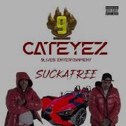 Cateyez Suckafree