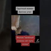 Зелёный Слоник Пахом Ввоет
