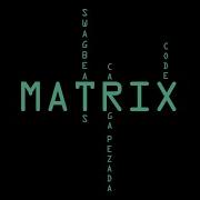 Carga Pesada Matrix