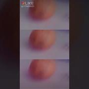 Мандарины Нас Каждый Новый Год Съедают Съедают