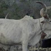 Mariel Pan Dabek By Mariak Aguer Bior Riang Axorxor Riang Axor Xor Official