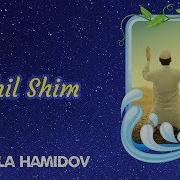 Hayrulla Hamidov Yashil Shim Voqea