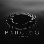 Rancido Cynosure