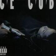 Ice Cube Cave Bitch