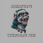 Чёрной Брахман Аквариум