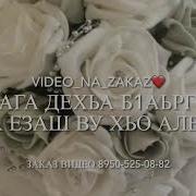 Текст Песни Рашана Алиева Д1А Эца Хьа Са Дог