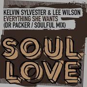 Lee Wilson Everything She Wants Dr Packer Remix