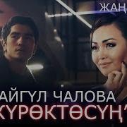 Айгул Чалова Журоктосун