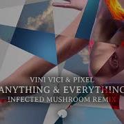 Anything Everything Vini Vici Pixel Infected Mushroom