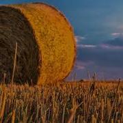 Красивая Восточная Музыка Для Расслабления И Гармонизации Дзен Музыка