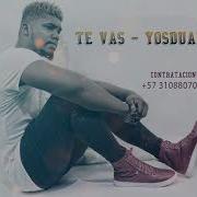 Te Vas Yosdual