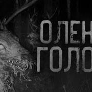 Олень Голова Кот Бегемот