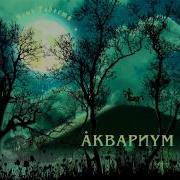 День Радости Аквариум Борис Гребенщиков