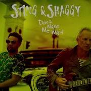 Shaggy Don T Make Me Wait