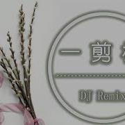 一剪梅 抖音版 Dj Remix 2020抖音Tiktok最火精選歌單