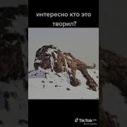 Интересно Кто Это Творил