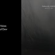 Parallel Voices Dreams Of Dew