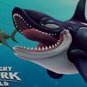 Killer Whale Kill Great White Shark Hungry Shark World