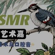 啄木鸟Asmr