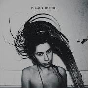 Rub Till It Bleeds Pj Harvey