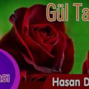 Hasan Dursun Gül Tanem