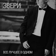 Говновоз Звери Всё Что Тебя Касается