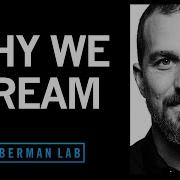 Understanding And Using Dreams To Learn And To Forget Andrew Huberman