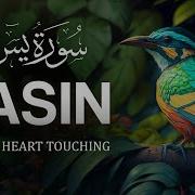 World S Most Beautiful Quran Recitation Of Surah Yasin Yaseen سورة يس Zikrullah Tv Zikrullah Tv