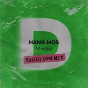 Radio Dfm