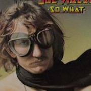 Joe Walsh Turn To Stone