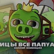 Птицы Все Папуасы