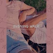 Evening Walk Amine Maxwell