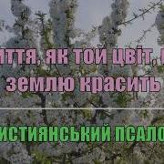 Життя Як Той Цвит Що Землю Скачать