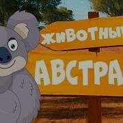 Животные Австралии Ладушки Ладушки