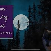 Night Wolf Sound Oceanwaves Sound Machine