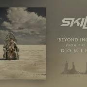 Beyond Incredible Skillet