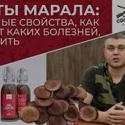 Панты С Магей