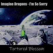 Imagine Dragons I M So Sorry Slowed